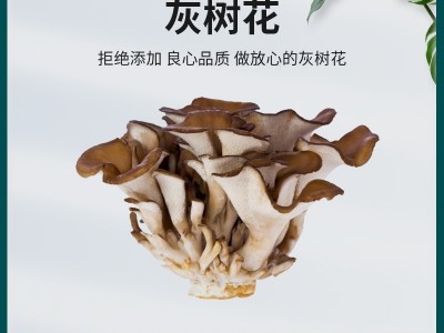 灰树花干货新货特产批发煲汤炒菜佳品图2