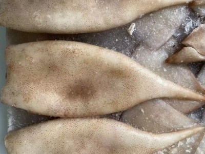 海芝鲜冰冻海鲜带皮鱿鱼筒带头鱿鱼桶 速冻海产品自助餐 20斤/件图3