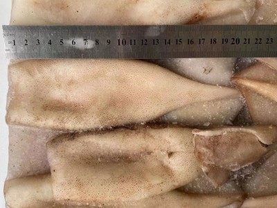 海芝鲜冰冻海鲜带皮鱿鱼筒带头鱿鱼桶 速冻海产品自助餐 20斤/件图4