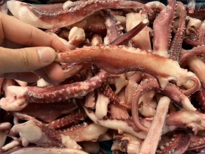 冷冻脆口章鱼须新鲜八爪鱿鱼须章鱼足 铁板烧火锅烧烤食材 9斤/件图3