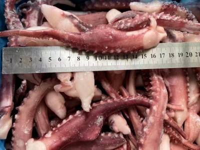 冷冻脆口章鱼须新鲜八爪鱿鱼须章鱼足 铁板烧火锅烧烤食材 9斤/件图2
