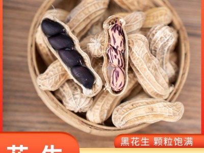 带壳黑花生农家生的黑花生七彩花生带壳品质黑皮紫皮花生农家自种图1