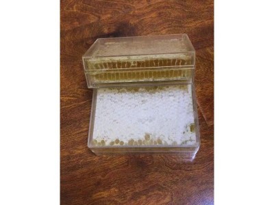 现货蜂巢蜜 巢蜜盒蜂巢蜜批发老巢蜜土巢蜜 蜂巢蜜图4