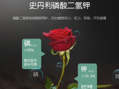史丹利磷酸二氢钾叶面肥水溶肥磷酸二氢钾家用园艺叶面肥喷施肥图2