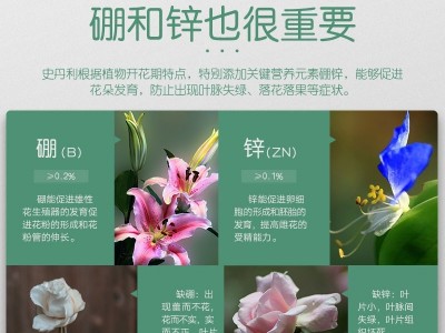 史丹利磷酸二氢钾叶面肥水溶肥磷酸二氢钾家用园艺叶面肥喷施肥图5