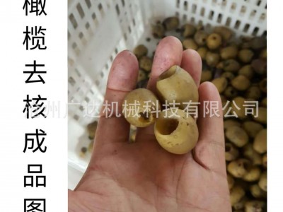 厂家直供 全自动新款去核机 橄榄去核机 果蔬机械设备图2