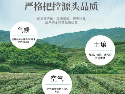 产地直供金银花500g金银花茶干金银花茶散装现货新货无沫金银花图5