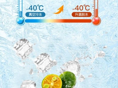 柠檬话梅金桔乌龙茶独立包装组合茶开胃冻干图1
