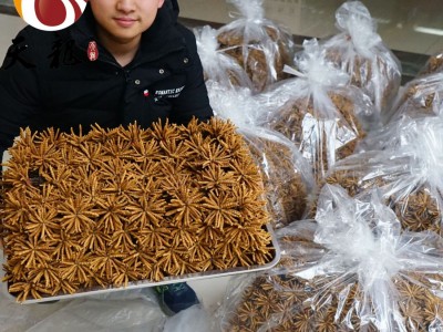 西藏冬虫夏草4000条 多规格综合接链 单品10克起售图3