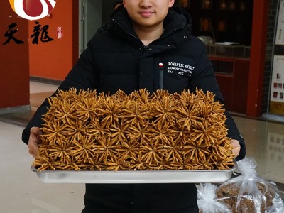 西藏冬虫夏草4000条 多规格综合接链 单品10克起售图2