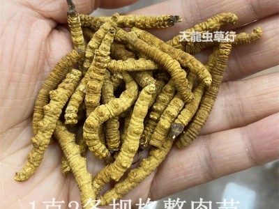 冬虫夏草 西藏 不带尾巴断虫草 肉节图3
