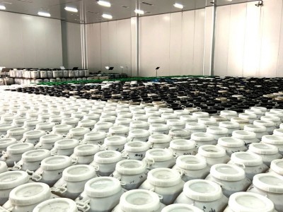土蜂蜜批发瓶装500g 厂家源头蜂场农家自产百花蜜 成熟蜂蜜图2