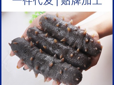 海芝屋大连海参批发纯淡干海参干货批发代发小米海参礼盒刺参礼品图4