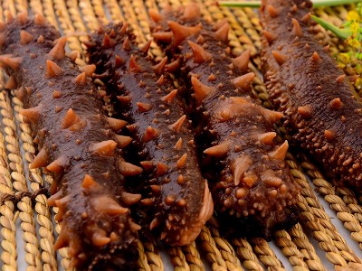 阿拉斯加红刺参进口野生淡干拉钢盐半干海参冰鲜熟冻即食美国红参图3