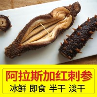 阿拉斯加红刺参进口野生淡干拉钢盐半干海参冰鲜熟冻即食美国红参