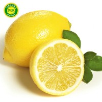 新鲜黄柠檬 中果 安岳尤力克批发果园现摘 包邮一二三级柠檬水果