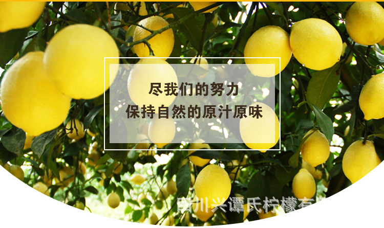 黄柠檬详情页9_02