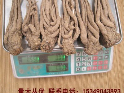 当归甘肃岷县原产地中药材大量批发多规格当归条非野生可切当归片图3