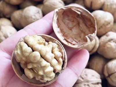 新疆核桃薄皮2022新货阿克苏185纸皮核桃孕妇食用手剥原味生核桃图3