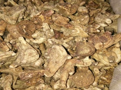 中药材大货供应白芨 三叉白芨个晒干白芨片散装批发量大价优图5