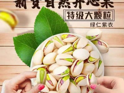 原色进口无漂白特大颗粒开心果罐装批货原味坚果干果零食整箱40盒图2