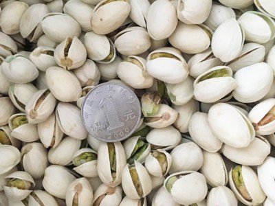 原色进口无漂白特大颗粒开心果罐装批货原味坚果干果零食整箱40盒图4