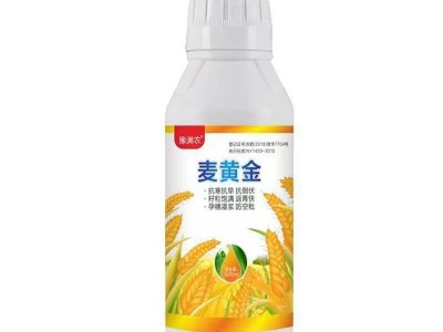 麦黄金壮苗促杆促吸收壮杆壮苗抗倒伏增产增量高产小麦叶面肥料图4