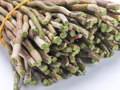霍山新鲜有机铁皮石斛 传统滋补品 石斛鲜条 4年山里富硒铁皮石斛图2