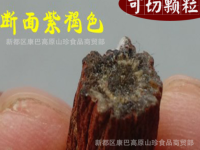 批发中药材四川中江丹参紫丹参丹参片帮磨丹参粉量大从优图4