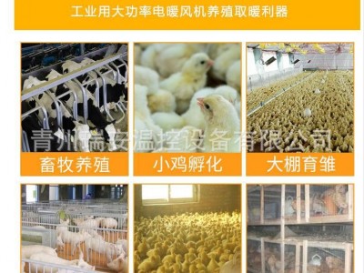 工业电暖风机 养殖场育雏智能恒温鸡舍猪舍取暖器 快速升温热风炉图3