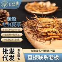 云丝栈品牌溯源冬虫夏草 西藏那曲虫草冻干虫草认证 招商加盟代发