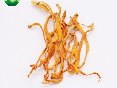 虫草花北虫草批发蛹虫草散草1kg量大价优图4