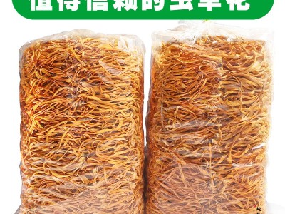 虫草花1kg装产地批发蛹虫草新会北虫草金虫草排草图3
