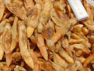 大号蛏子肉干500g蛏子干蛏干少盐淡干水产海鲜干货蛏子肉煲粥汤渔图2
