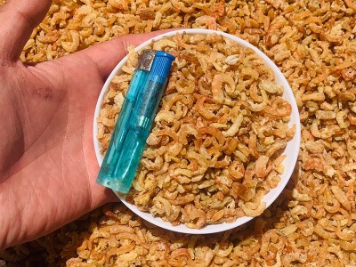 500g金钩海米小开洋商用虾米去皮小虾仁虾米海鲜干货煲粥汤调味增图3
