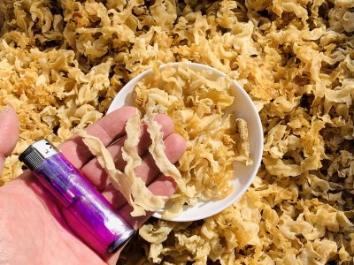 扇贝裙边商用大号干贝裙边蚬子鲍鱼边 跑江湖摆地摊 海鲜干货水产图3