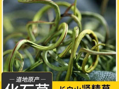 肾精茶正品化石草东北长白山特产野生化石草养生茶化石草500g罐装图2