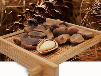 新货东北开口松子大颗粒袋装500g新炒松子坚果零食特产批发松子图2