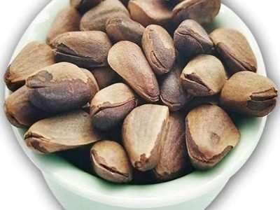 新货东北开口松子大颗粒袋装500g新炒松子坚果零食特产批发松子图4