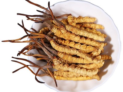 冬虫夏草批发虫草批发藏区虫草无断条冬虫夏草西藏挑选虫草图4