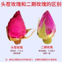 滕王新产平阴红玫瑰花茶 供应500g金边玫瑰花果茶 干花重瓣玫瑰花