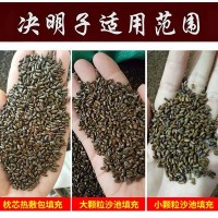 厂家现货决明子儿童玩具沙滩枕芯填充农产品炒熟决明子茶散装批发