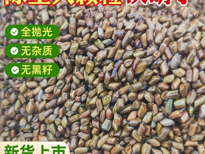 厂家现货决明子儿童玩具沙滩枕芯填充农产品炒熟决明子茶散装批发图5