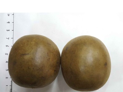 罗汉果花果茶批发 一盒2只装低温脱水大中小罗汉果供应图4