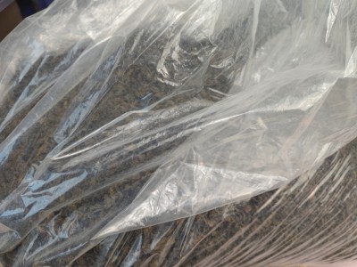 正宗海南五指山黄花梨茶 海南特产 降香茶 海南黄花梨茶可加工图4