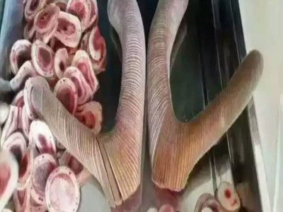 吉林鹿场直销新鲜鹿茸二杠鹿茸一件代发图5