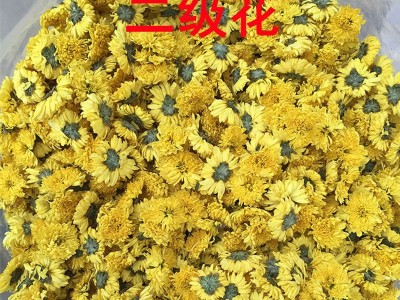 婺源皇菊新花散装批发 一朵一杯大徽州黄菊 金丝皇菊散货瓶装贡菊图5