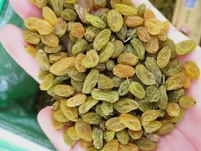 新疆葡萄干批发商用小珍珠小颗粒奶茶店蛋糕房图2