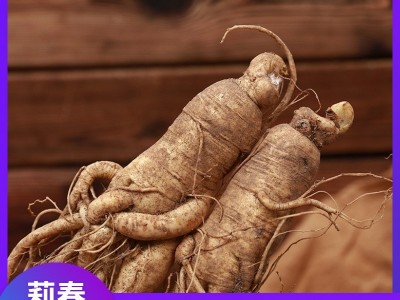 一斤10个头左右 长白山新鲜带土人参林下山参 批发参类滋补品图2