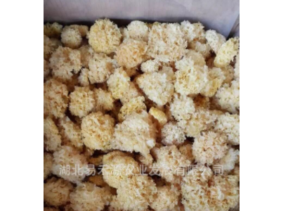 椴木银耳白木耳 雪耳 自有基地寻代理分销3-4公分量大从优图3